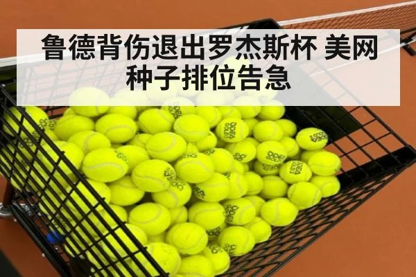 鲁德背伤退出罗杰斯杯 美网种子排位告急