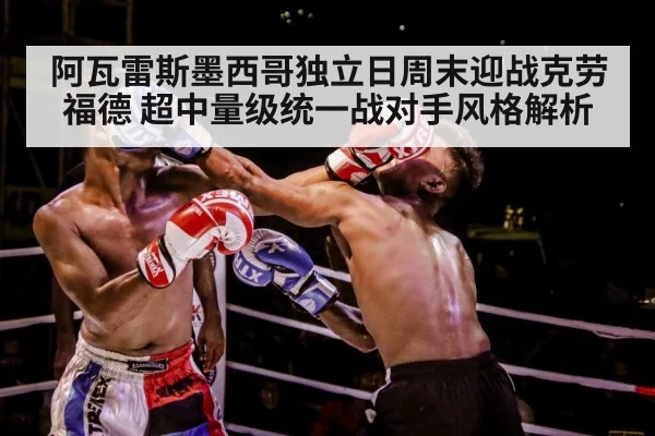 boxer training gloves